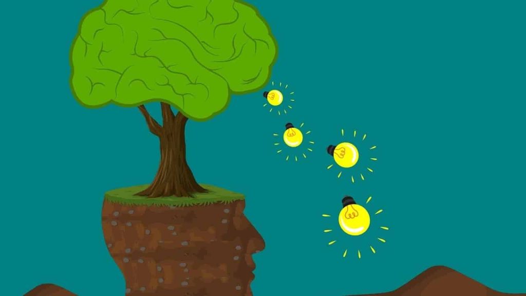 Does Stater Bros Take EBT? A Guide for Shoppers